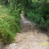 Jazowsko, Dunajec po obfitych opadach deszczu 19.07.2018 r